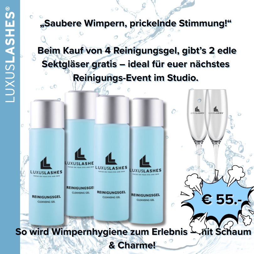 4 Reinigungsgel 200ml +2 Sektgläser Gratis 