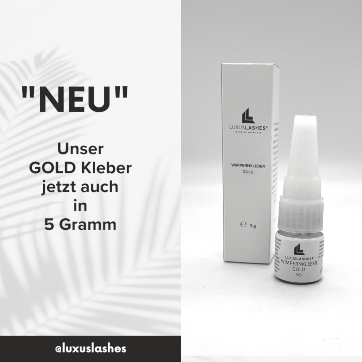 KLEBER GOLD 5g